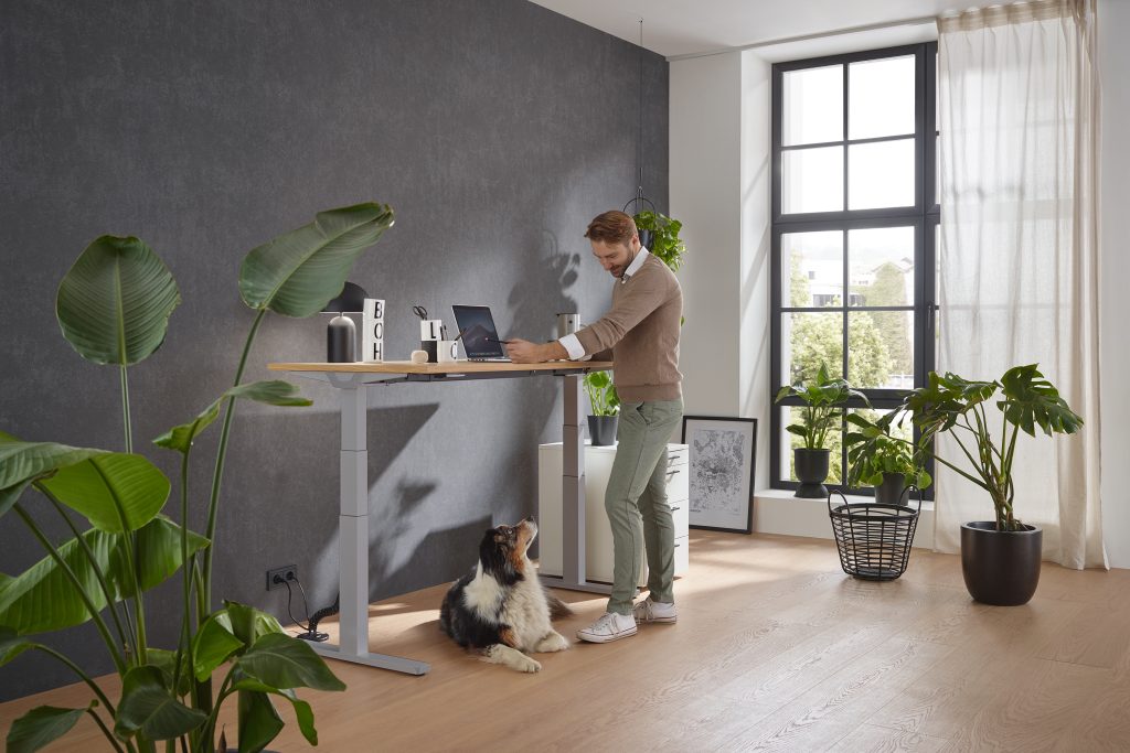 Person arbeitet an einem höhenverstellbaren Schreibtisch im Stehen, begleitet von einem Hund. Die Szene zeigt eine ergonomische Arbeitsumgebung mit modernen Möbeln und Pflanzen