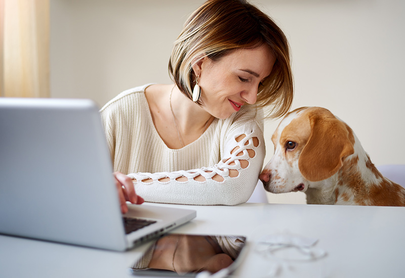 Hunde sorgen für eine aktive Stressreduktion im Büro